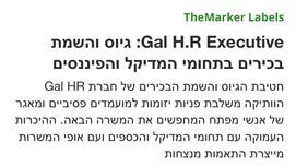 Gal HR Executive